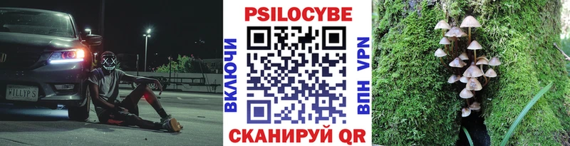 Купить где  Тюкалинск  Псилоцибиновые грибы Psilocybe 
